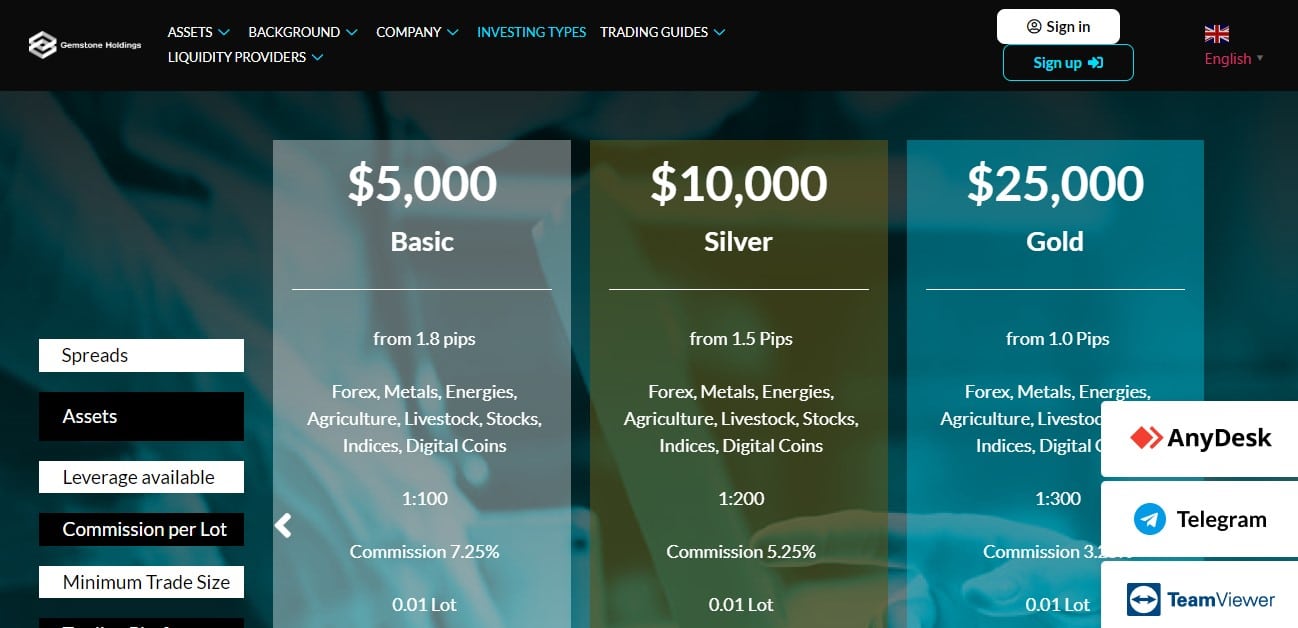 Gemstone Holdings account types